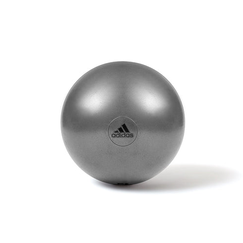 GYMBALL - GREY